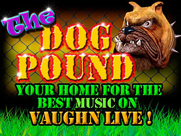 dog pound